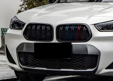 Ніздрі M-Look (M-Color) BMW X2 F39 2018-2023 рр.
