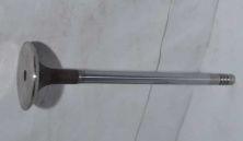 Клапан впускний Chery (оригінал)