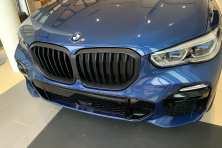 Ніздрі 1 Bar (2019-2022, чорний матовий) BMW X5 G05 2019-2026 рр.