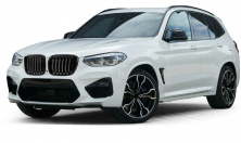 Ніздрі 1 Bar (2018-2021, чорний глянцевий) BMW X3 G01 2018- рр.