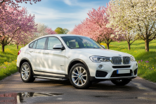 Бокові пороги Allmond Grey (2 шт., Алюміній) BMW X4 F26 2014-2018 рр.