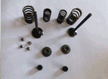 Клапаны (пара, в сборе) Honda 4T SH 125/150 MIS