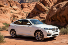 Бокові пороги Tayga Black (2 шт., Алюміній) BMW X4 F26 2014-2018 рр.