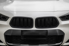Ніздрі M-Look (чорний матовий) BMW X2 F39 2018-2023 рр.