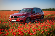 Бокові пороги Maya Red (2 шт., Алюміній) BMW X5 F15 2013-2018 рр.