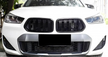 Ніздрі M-Look (чорний глянець) BMW X2 F39 2018-2023 рр.