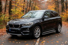 Бокові пороги Tayga Grey (2 шт., Алюміній) BMW X1 F48 2015-2022 рр.