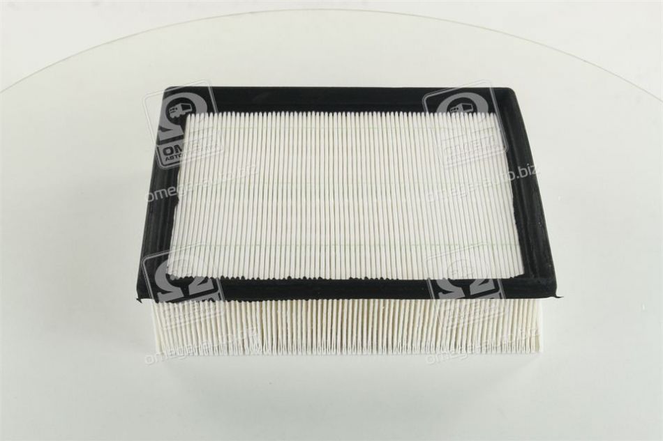 Фільтр повітряний (2.4L, 2.0DIESEL) Great Wall Haval H6 CHAMPION