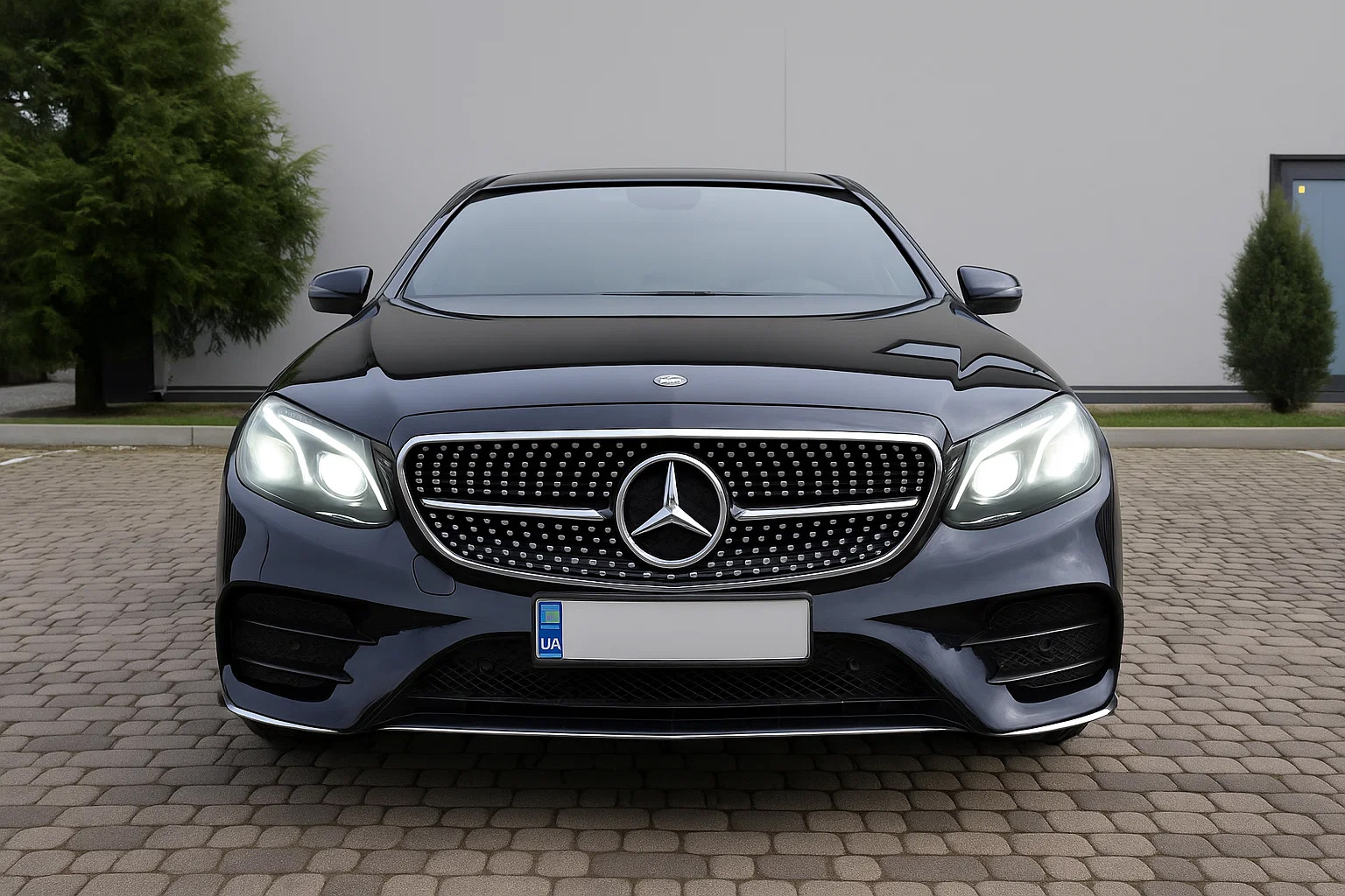 Передня решітка Diamond Silver (для Avantgarde і AMG-Line, 2013-2016) для Mercedes E-сlass W212 рр