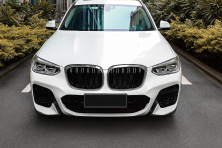 Ніздрі M-Look (2018-2021, чорний глянець з хром окантовкою) BMW X3 G01 2018- рр.