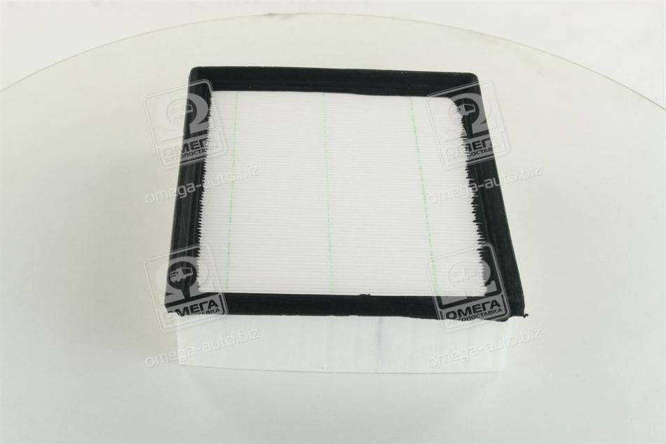 Фільтр повітряний (2.4L, 2.0DIESEL) Great Wall Haval H6 CHAMPION