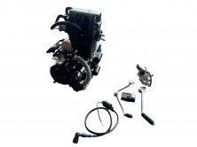 Двигатель 4T CGT-250cc (водяное охлаждение) + карбюратор, коммутатор, катушка зажигания