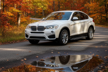 Бокові пороги Bosphore Grey (2 шт., Алюміній) BMW X4 F26 2014-2018 рр.