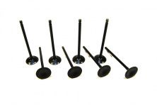 Впускний клапан Great Wall KIMIKO