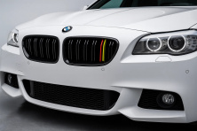 Ніздрі M-Look (German Color) BMW 5 серія F10/F11 2010-2016 рр.