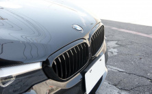 Ніздрі 1 Bar (2017-2020, Чорний глянець) BMW 5 серия G30/G31 2017–2023 гг.