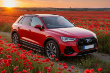 Бокові пороги Maya Red (2 шт., Алюміній) Audi Q3 2019- рр.