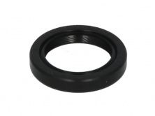 Сальник балансувального валу передній L 2,4 Chery Tiggo PAYEN