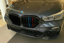 Ніздрі 1 Bar (2019-2022, M-Color) BMW X5 G05 2019-2026 рр.