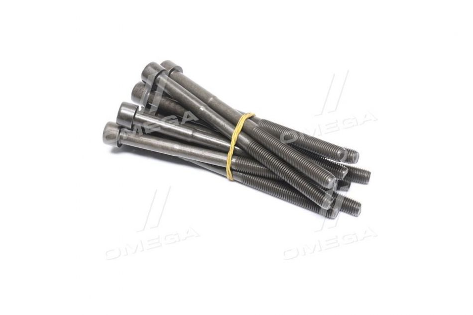 Болт ГБЦ BYD S6 (компл. 10 шт) CORTECO