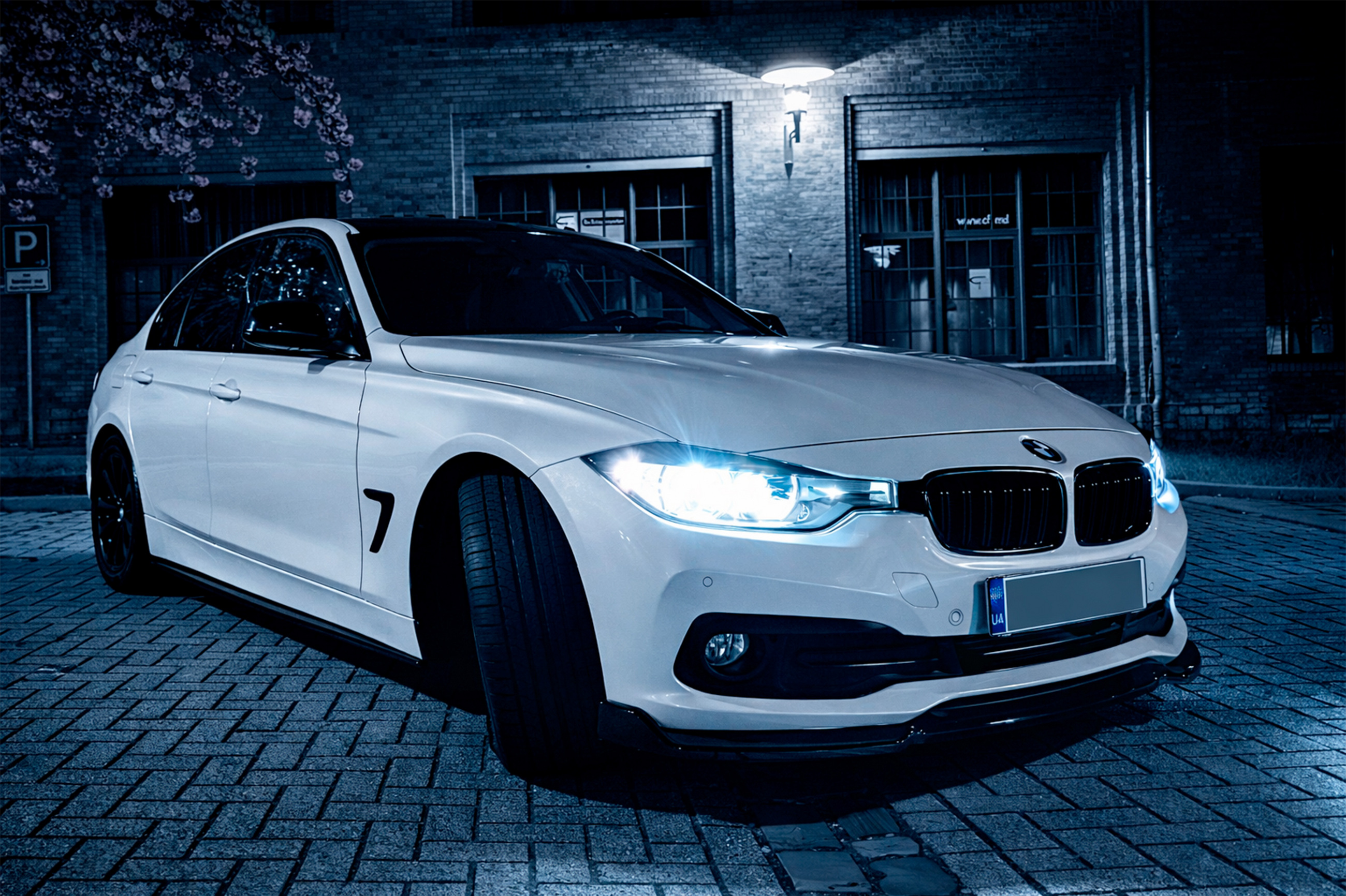 Накладки на пороги EuroCap (під M-Sport пороги, чорний глянець) для BMW 3 серія F30/F31 2012-2019 рр