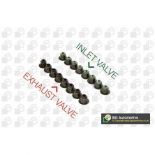 Сальник клапана (компл. 16шт) BGA