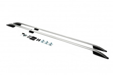 Рейлінги Skyport Grey (2 шт) Mitsubishi L300 1986-2013 рр.