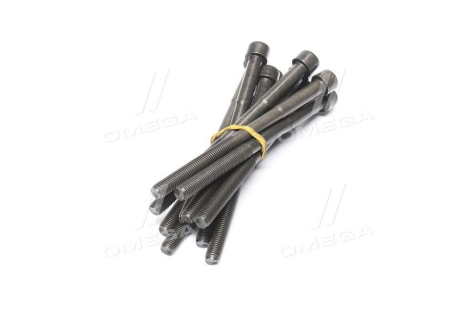 Болт ГБЦ BYD S6 (компл. 10 шт) CORTECO