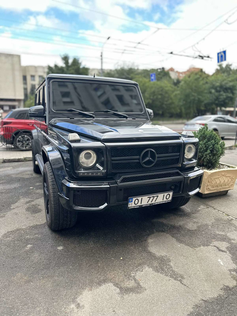 Будиночок на передній бампер (чорний мат, G65) для Mercedes G сlass W463 1990-2018 рр
