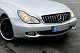 Передня решітка (2008-2010, GT Panamericana) для Mercedes CLS C219 рр