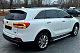 Бокові пороги BMW style (2 шт) для Kia Sorento III UM 2014-2020 рр