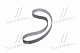 Ремінь ГРМ (2.8TCI) Hover Gates