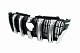 Решітка 2013-2017 (стандарт) для Toyota Land Cruiser Prado 150 рр