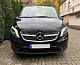 Передня решітка Diamond (2014-2023 для Vito W447) для Mercedes Vito/V-class W447 2014- рр