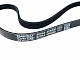 Ремінь генератора та водяного насоса 4PK830 Great Wall Deer/Pegasus/Safe DAYCO